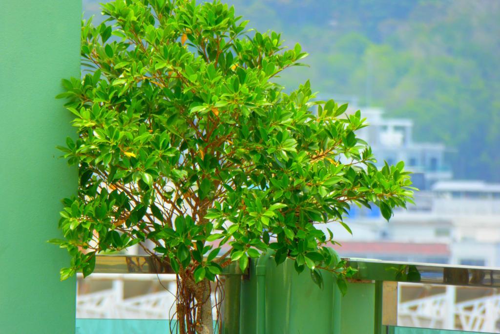 Add Plus Hotel & Spa Patong Exterior foto